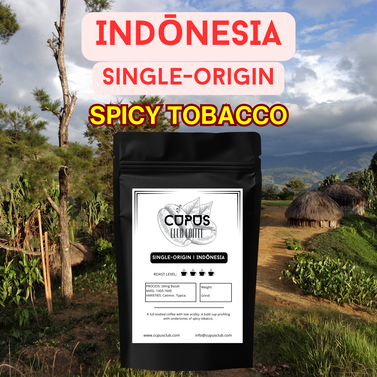 INDONESIA