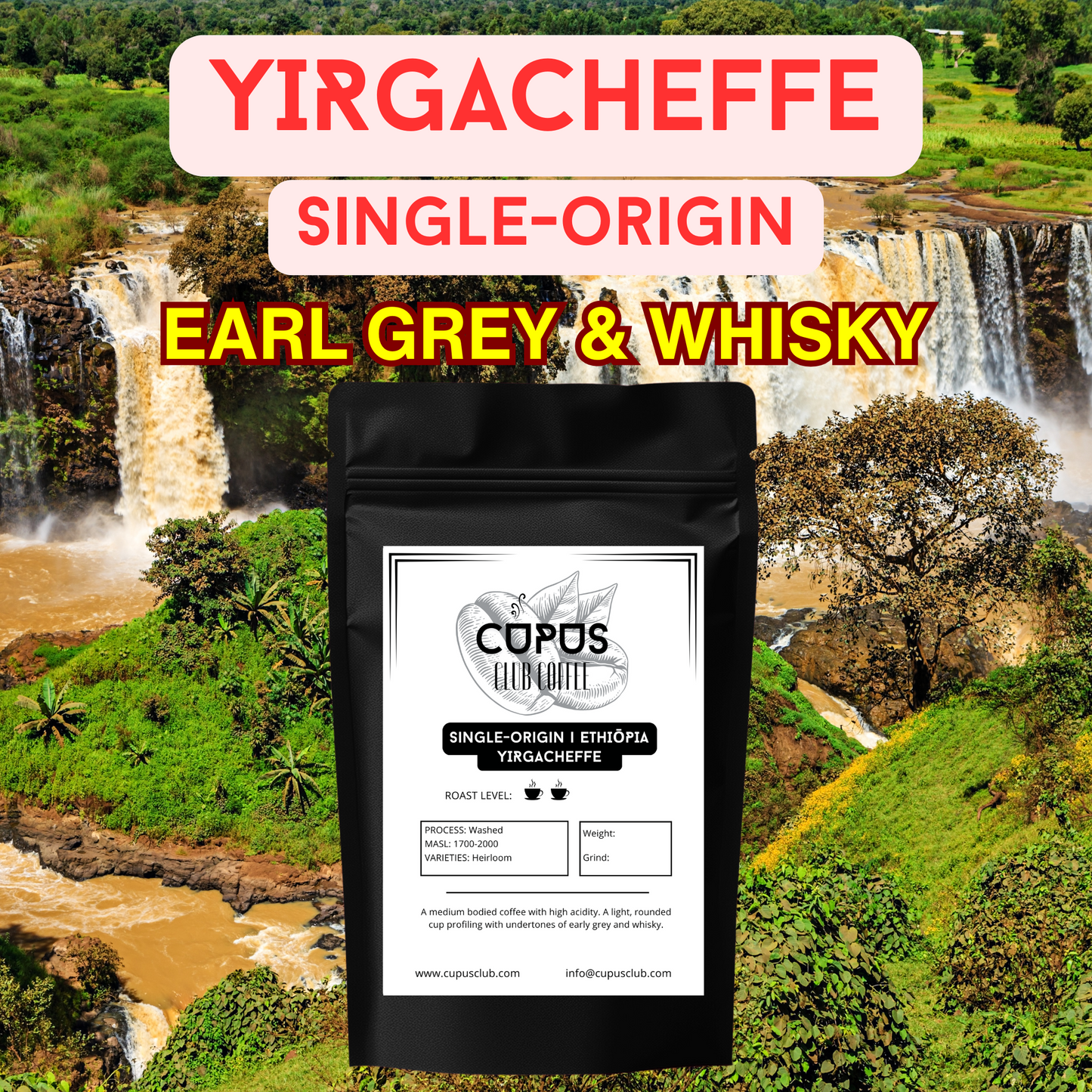 ETHIOPIA - YIRGACHEFFE
